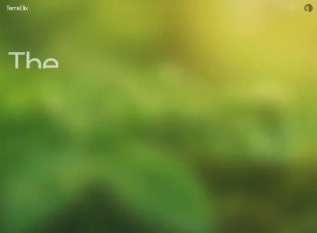 Wellness Balance 网页预览