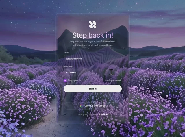 Solace sign-in 网页预览