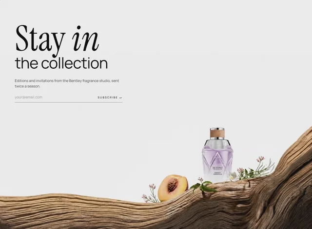 Editorial Collection CTA 网页预览