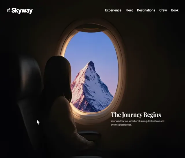 Skyway 网页预览
