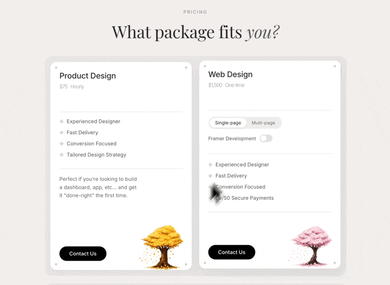 What Package Fits You 网页预览