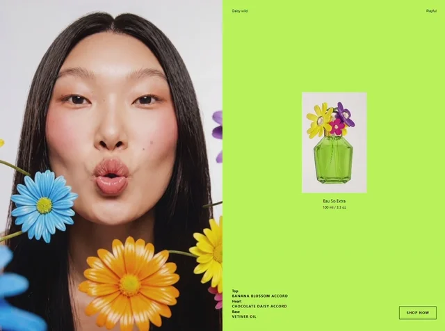 Daisy Wild 网页预览
