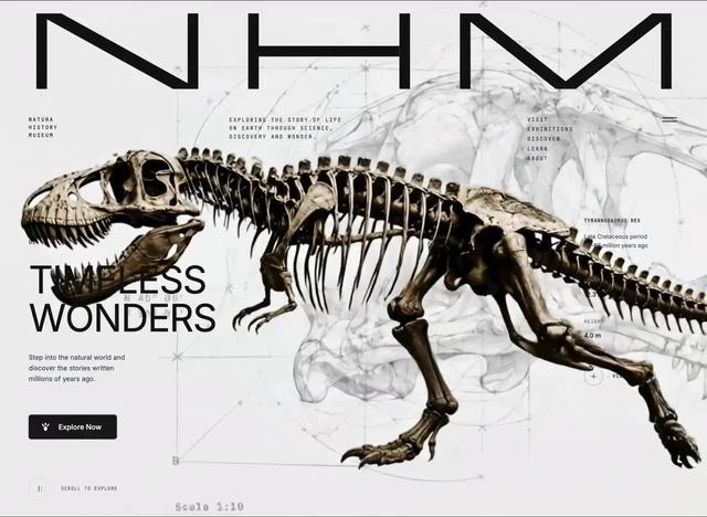 Neo Museum 网页预览