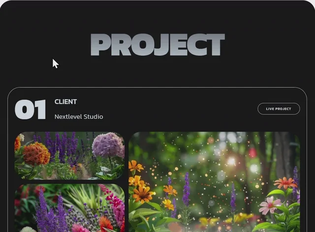 Projects Catalog 网页预览