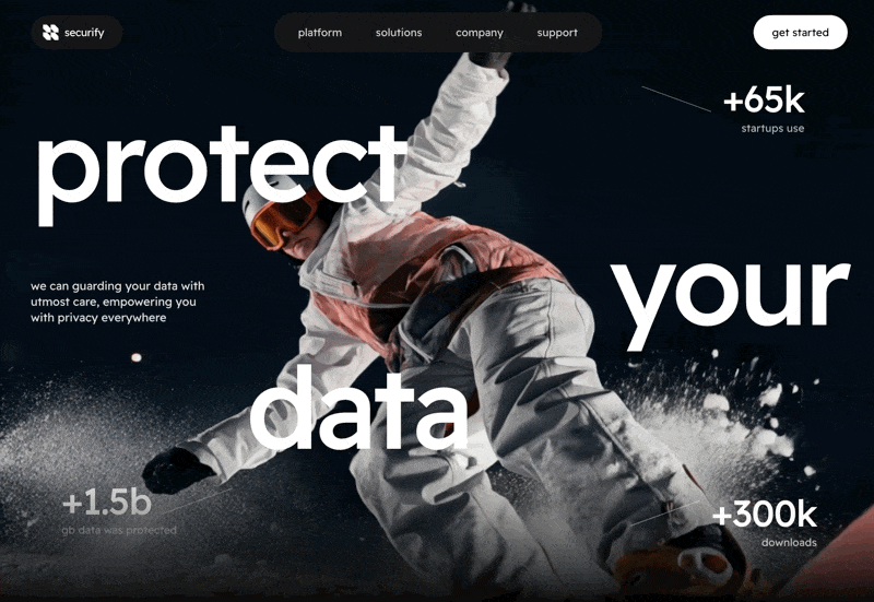 Securify Data Security 网页预览